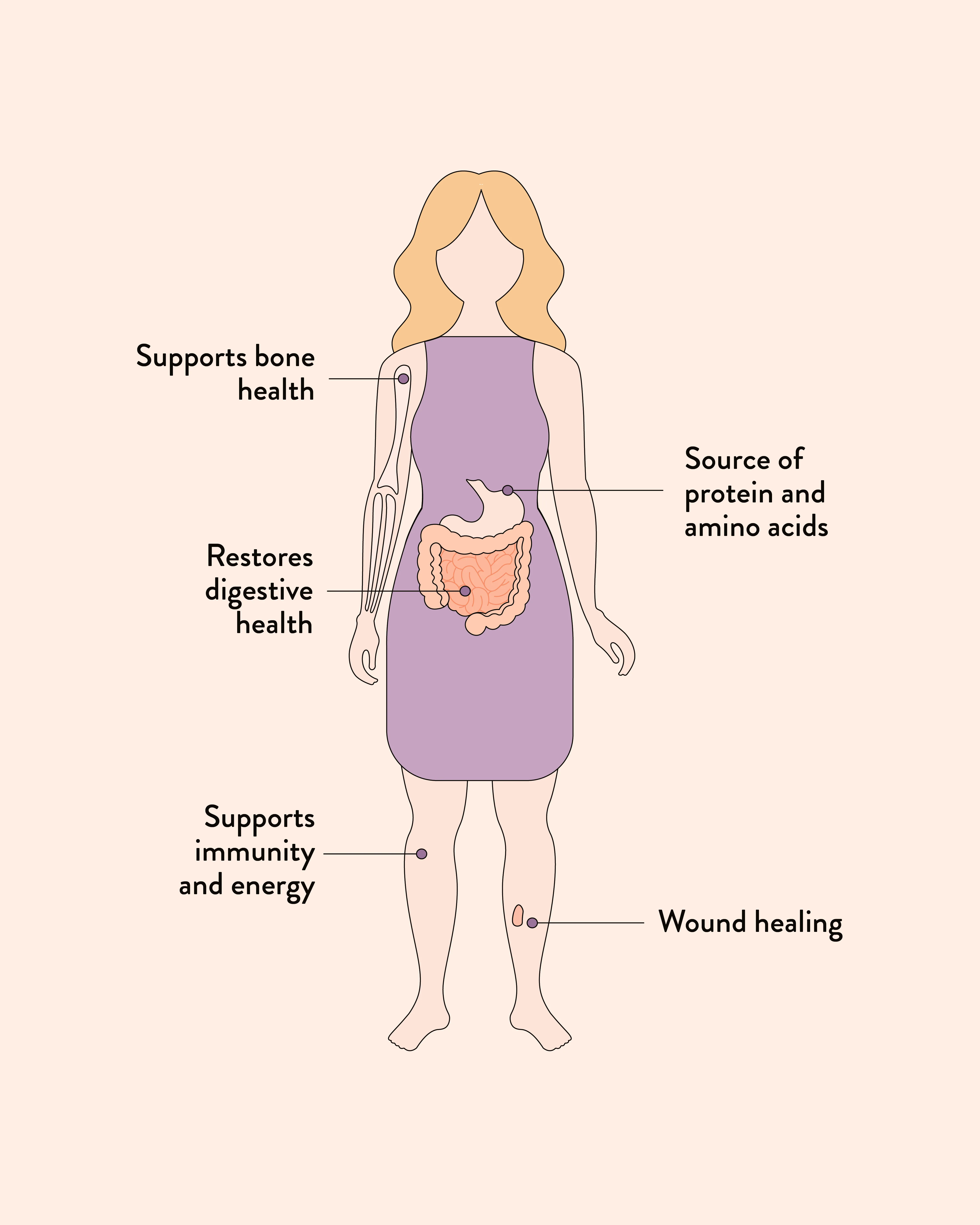 Beef Bone Broth Adaptogenic Mushroom - Image 3