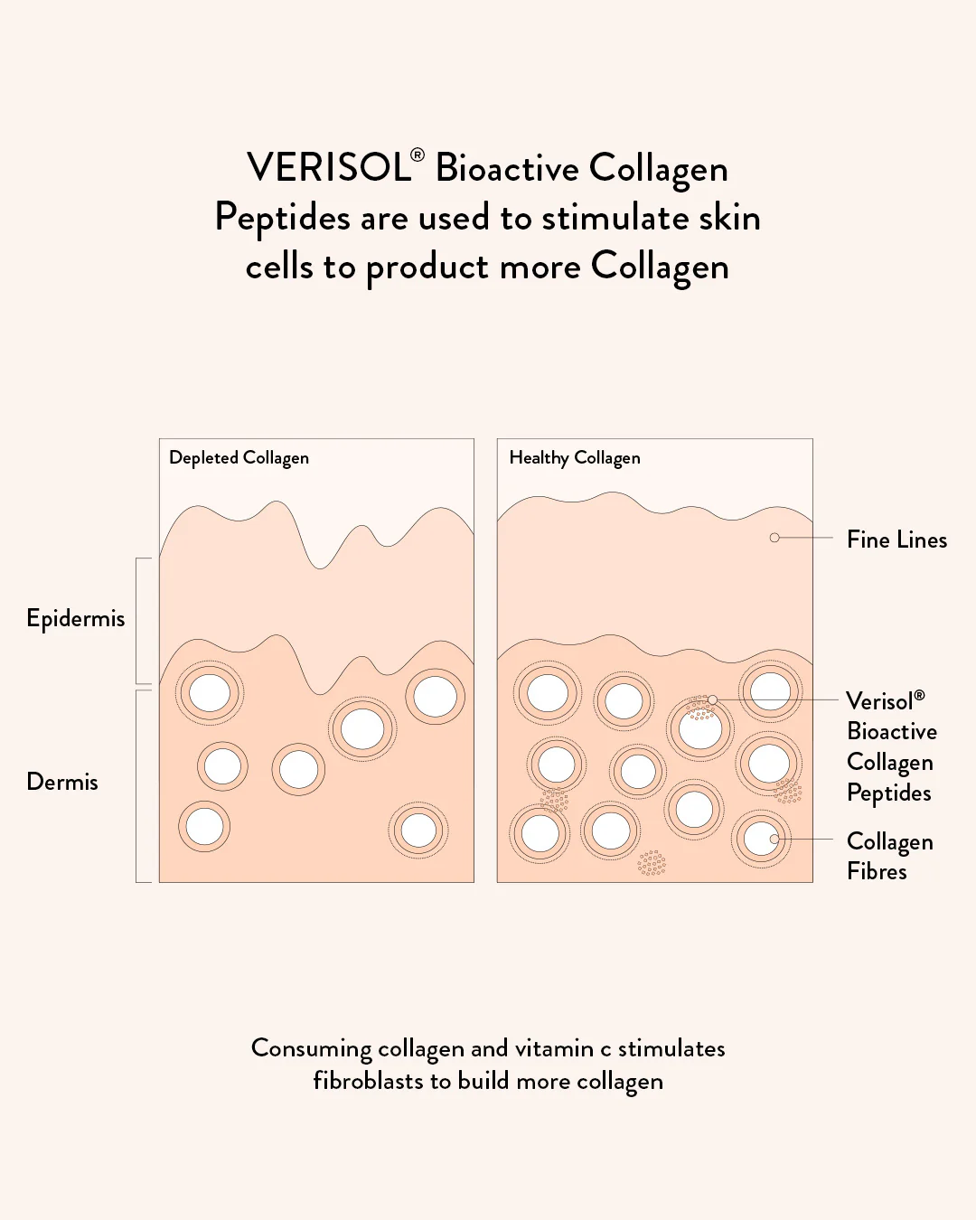 Collagen Beauty Vanilla - Image 7