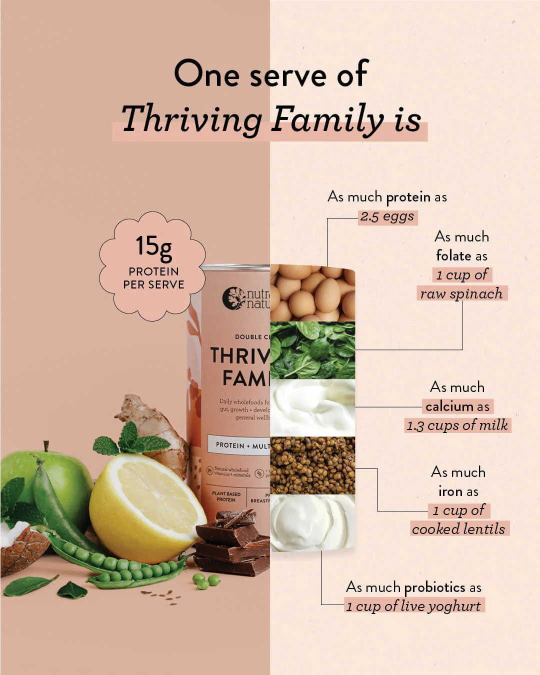 Thriving Family Double Choc - Image 4